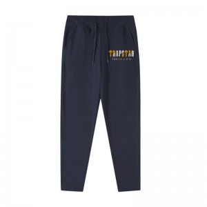 Trapstar It’s a Secret Streetwear Hose Herren Blau Österreich | NS63-585