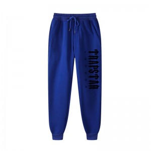 Trapstar London Cargo Hose Herren Blau Österreich | TX02-635