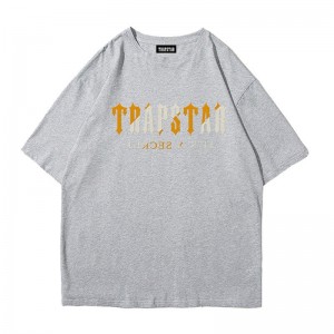 Trapstar Shinning Galaxy its a Secret T-shirts Herren Grau Österreich | KQ68-256