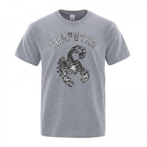 Trapstar Spider Printed Graphic Tee T-shirts Herren Grau Österreich | BR52-716